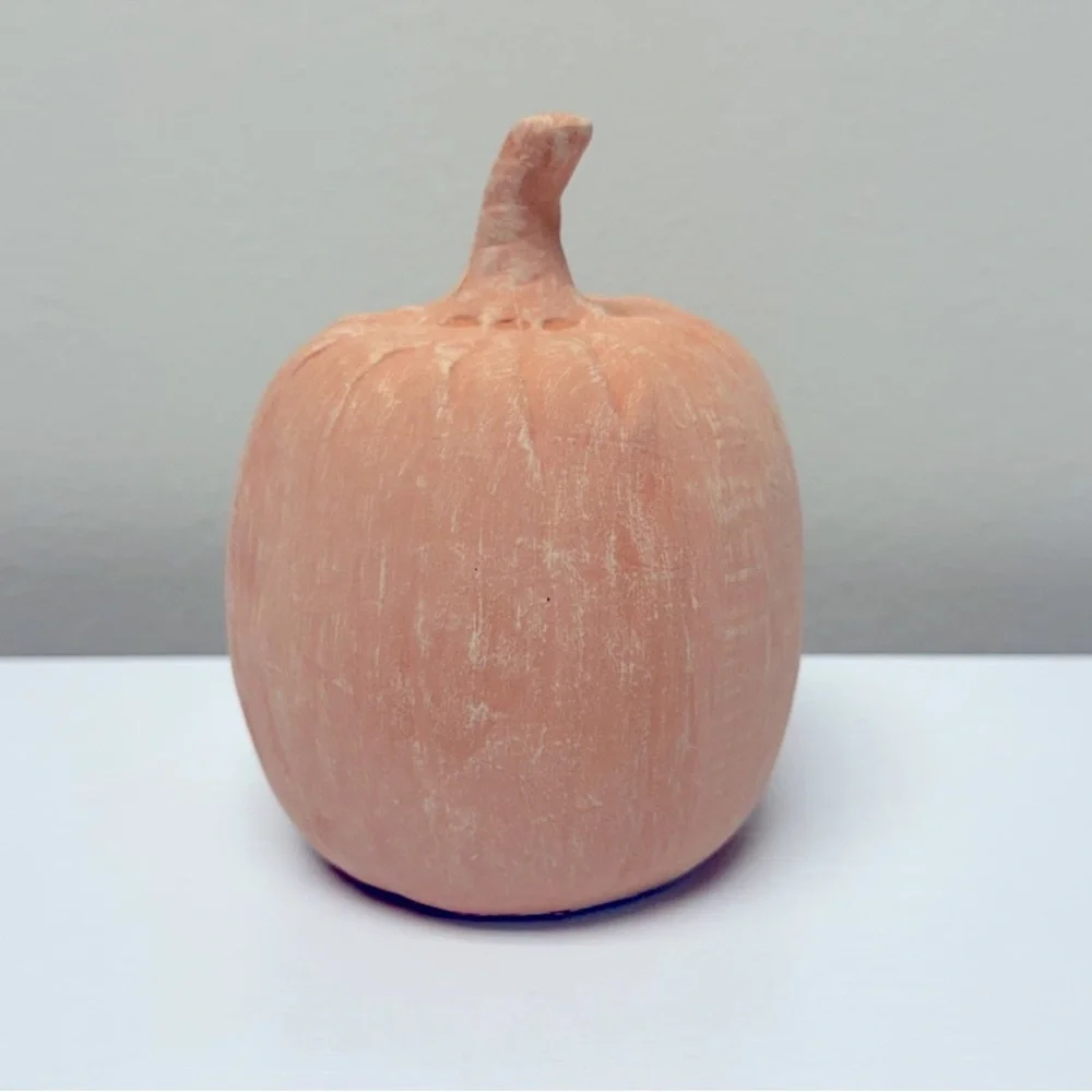 Target Bullseye Playground Fall Thanksgiving 4” Orange Terracotta Pumpkin